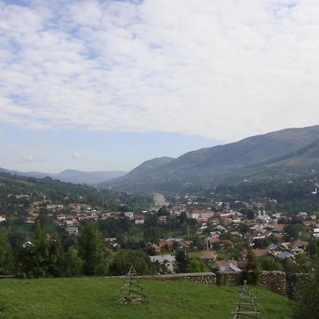 Pensiunea Valea Negrasului Trăisteni Dış mekan fotoğraf