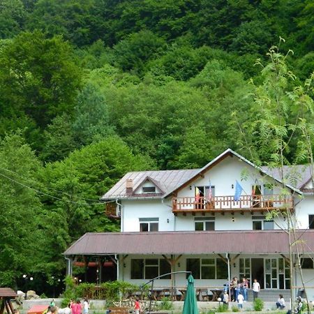 Pensiunea Valea Negrasului Trăisteni Dış mekan fotoğraf