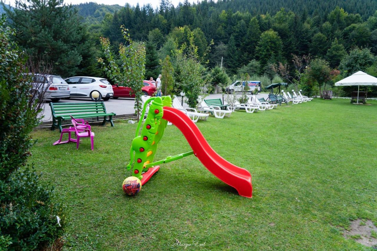 Pensiunea Valea Negrasului Trăisteni Dış mekan fotoğraf