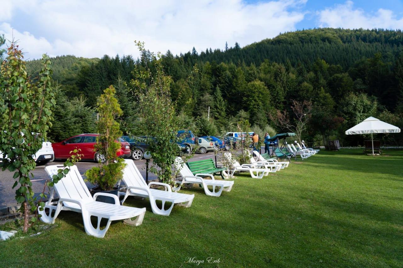 Pensiunea Valea Negrasului Trăisteni Dış mekan fotoğraf